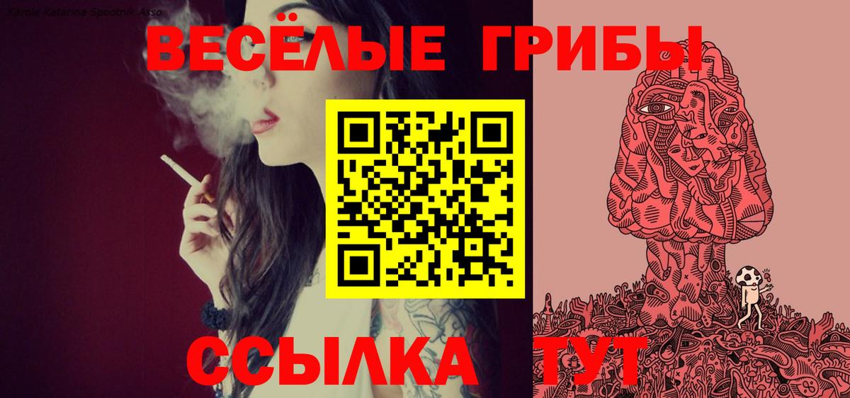 Новый Уренгой  Галлюциногенные грибы MAGIC MUSHROOMS  Псилоцибиновые грибы Psilocybe  Вход с VPN 